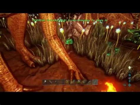 ARK Survival Evolved Where To Find Rare Flowers Rare Mushrooms And