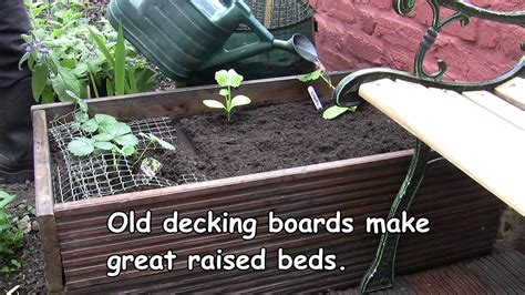 Easy Gardening For Beginners Youtube