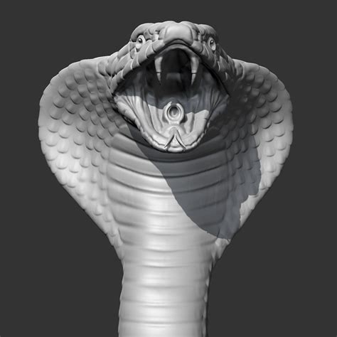 King Cobra Head