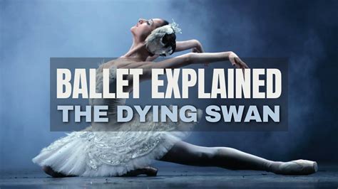 the dying swan ballet explained youtube