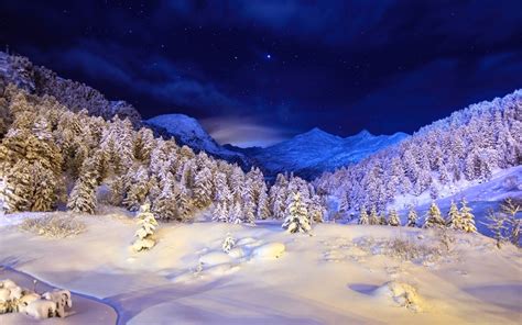 Noapte De Iarnă ~ Peisaje De Iarna