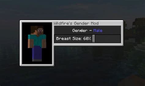 How To Change The Gender In Minecraft
