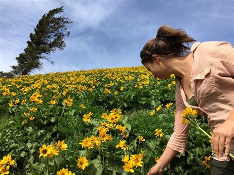 10 Beautiful Wildflower Hikes Around Portland This Spring