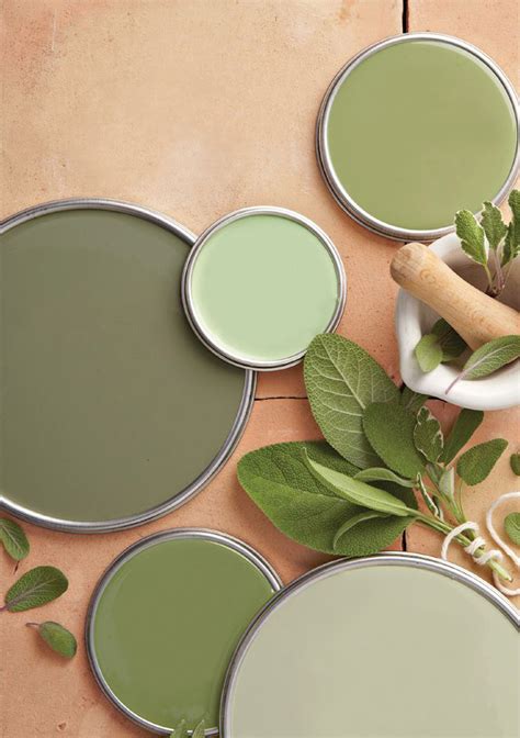 Green Sage Green Paint Sage Green Wallpaper Sage Green Paint Color