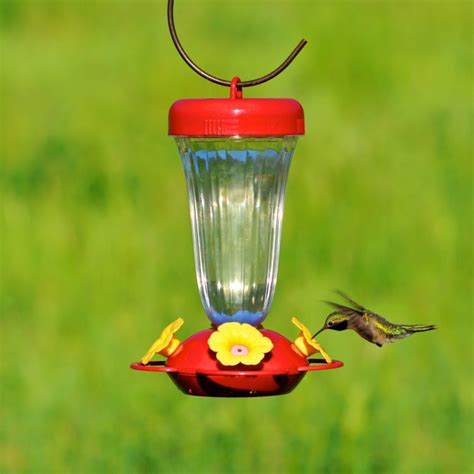 Some hummingbird feeding tips about when to hang your feeder, when to take down your feeder, when you go on vacation, making hummingbird food, what flowers attract hummingbirds, taking pictures. Perky-Pet 16 oz Yellow Flower Top Fill Plastic Hummingbird ...