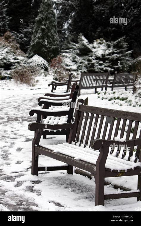 A Collection Of Park Benches Covered In Snow On A Cold Winters Day