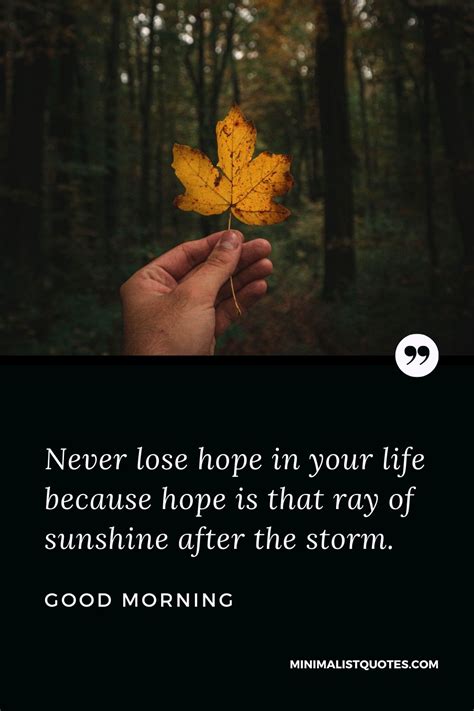 Never Lose Hope In Your Life Because Hope Is That Ray Of Sunshine After