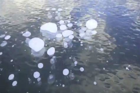 Have You Seen Frozen Lake Bubbles Video