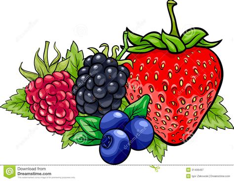 Wild Berry Clipart 20 Free Cliparts Download Images On Clipground 2022