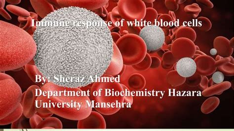Immune Response Of White Blood Cells Ppt