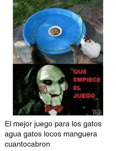 Que Empiece El Juego El Mejor Juego Para Los Gatos Agua Gatos Locos