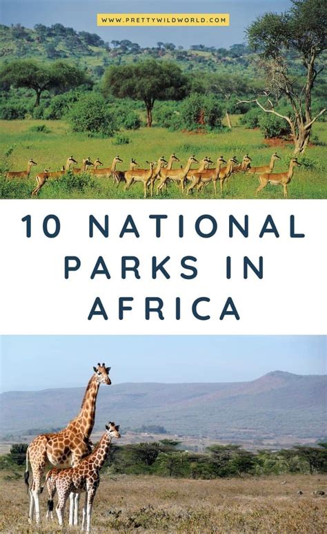 Top 10 National Parks In Africa 2024