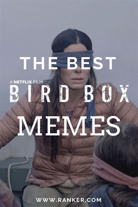 hilarious memes about the movie bird box these bird box memes will have you in tears this is