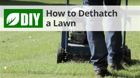 How To Dethatch A Lawn Dethatching Tips Youtube