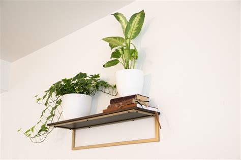 Free Stock Photo Of Potted Plants And Books On Wall Shelf