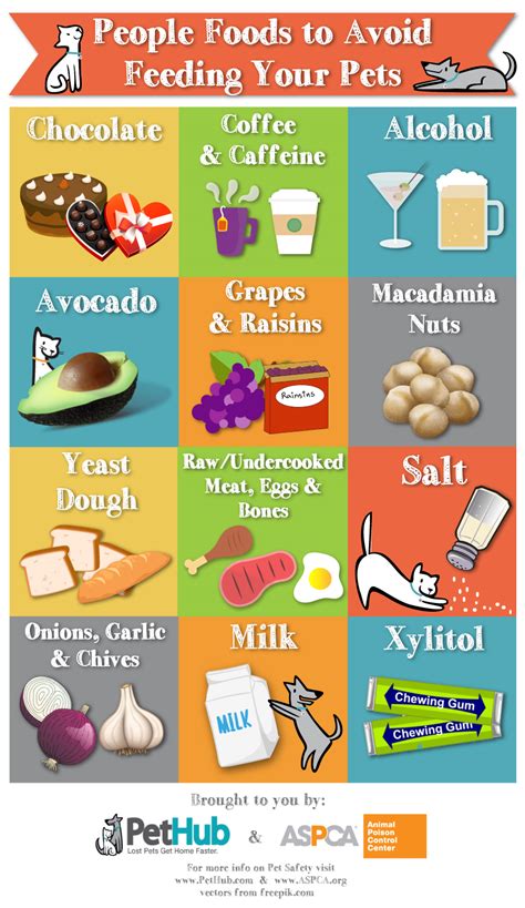 Printable List Of Toxic Foods For Dogs