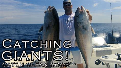 Catching Giants Offshore Fishing For Cobia Amberjack King Mackerel