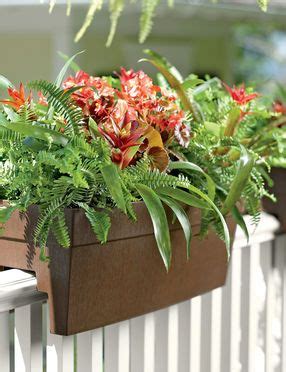 We did not find results for: Self-Watering Railing Planter | Railing planters, Balcony ...