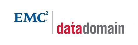 Data Domain Logo LogoDix