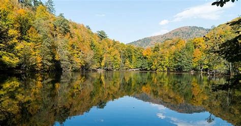Rüyada sevdiğin kişiyi görmek ne anlama gelir? Rüyada sevgili görmek ne