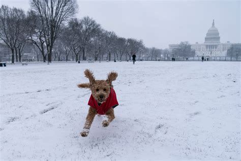 Major Storm Heads To Northeast After Blanketing Midwest Temperatures