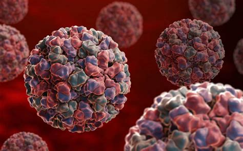 Further investigations showed that the two structures of mouse norovirus particles switch depending on aqueous conditions. Norovirus, epidemia di gastroenterite ai mondiali di ...