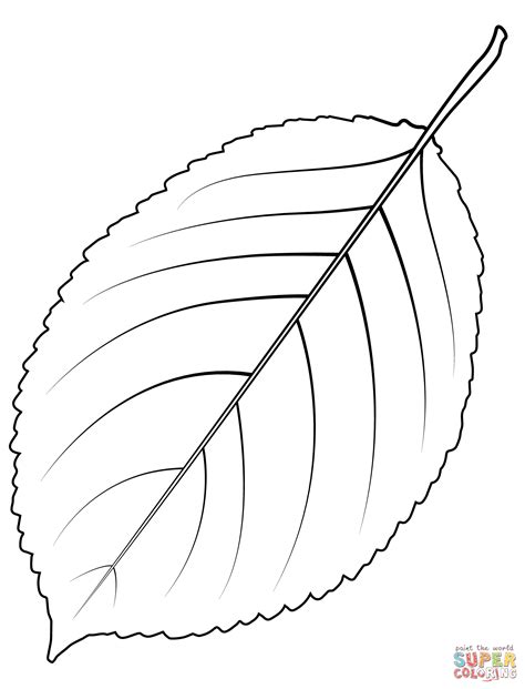 wild cherry tree leaf coloring page free printable coloring pages