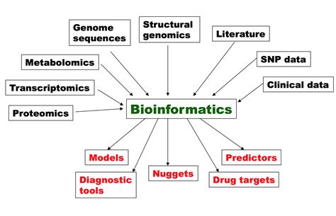 Bioinformatics Center For Data Science Uib