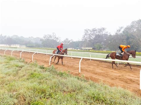 Jockeys Riding Racing Horses Early Morning On Race Track Editorial