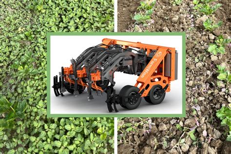 Titan Weeding Autonomous Robots Preserve Crops While Snipping Weeds