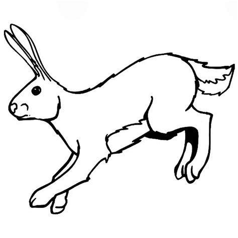 Picture Of Hopping Bunny Coloring Pages : Kids Play Color