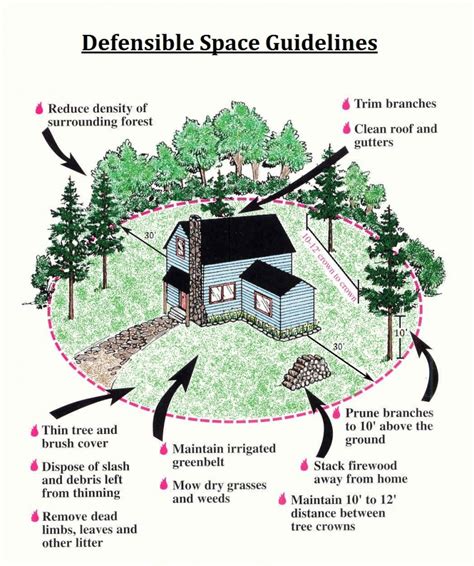 Defensible Space Guidelines Park City Fire District