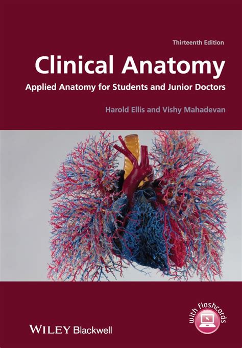 Booksbests Clinical Anatomy Applied Anatomy For Students And Junior