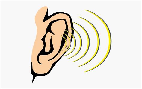 Hearing Clipart Sense Hearing Picture 2805140 Hearing Clipart Sense