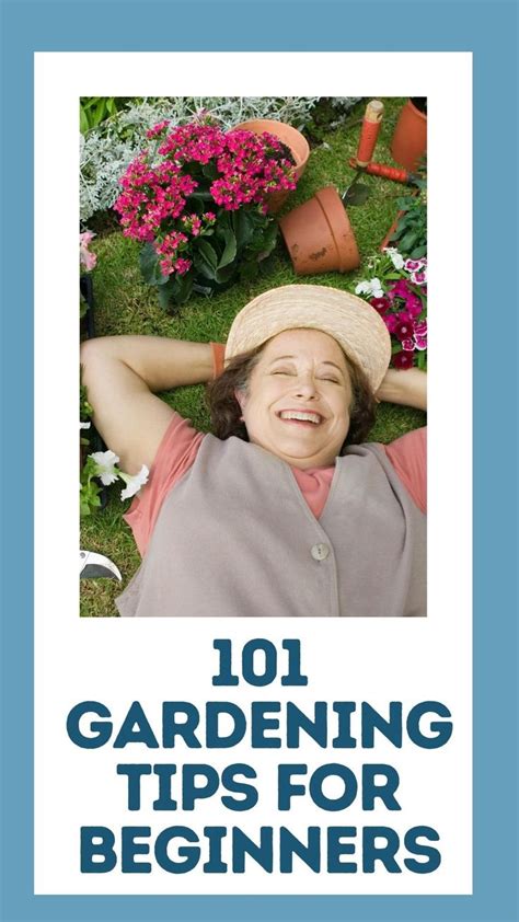 101 Gardening Tips For Beginners An Immersive Guide By Thegardeningdad