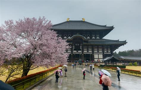 Nara Japan Wallpapers Top Free Nara Japan Backgrounds Wallpaperaccess
