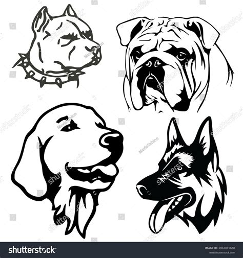 Dog Face Vector Illustration Collection Stock Vector Royalty Free