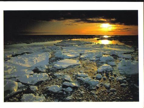Midnight Sun Antarctica Picture Postcard