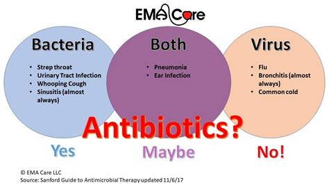 Bacterial And Viral Infections EMA Care EMA Care