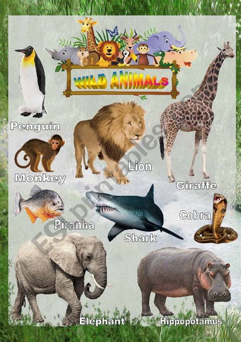 Wild Animals Poster 1 Esl Worksheet By Fengchuishaster