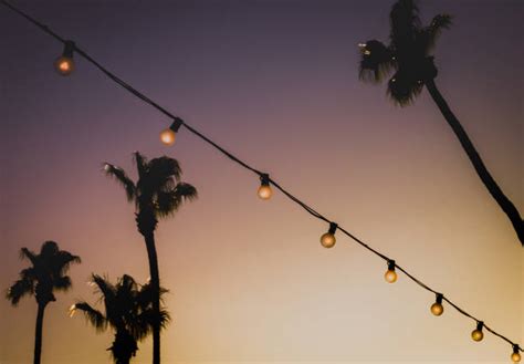 Palm Tree Lights Stock Photos Pictures And Royalty Free Images Istock