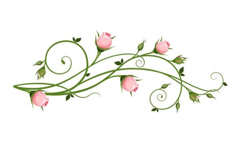 Flower Vine Illustrations Royalty Free Vector Graphics And Clip Art Istock