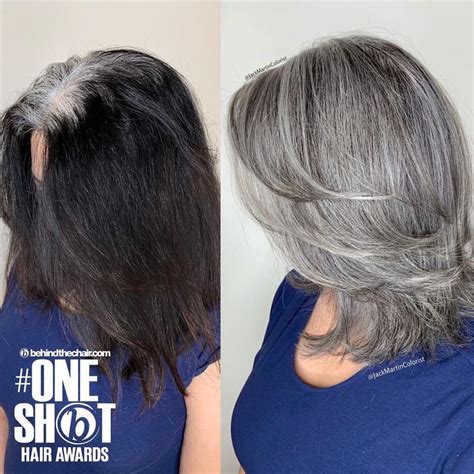 Elaine shows you how to transition to gray hair while keeping your such is the case with my journey into gray. ᒍᗩᑕK ᗰᗩᖇTIᑎ (@jackmartincolorist) • Instagram photos and ...