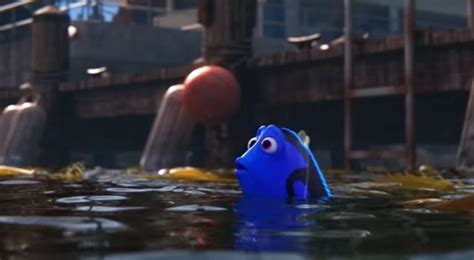 Alla Ricerca Di Dory Il Film Di Animazione Disney Pixar