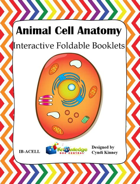 Animal Cell Anatomy Interactive Foldable Booklet In 2022 Animal Cell