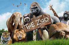 zoo animals comedy cbbc life ran if different paignton series tv