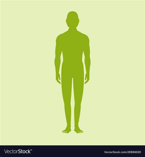 Male Human Body Silhouette With Shadow Royalty Free Vector