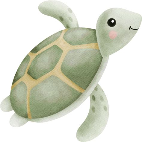 Cute Turtle Watercolor Nursery Clipart Character 15741423 Png