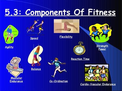 Physical Fitness The Five Components Of Physical Fitness