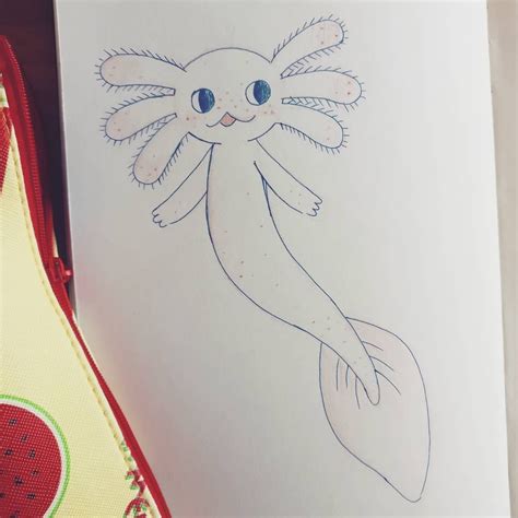 Axolotl Mermaid Mermay Mermaid Axolotl Sketchbook Sketch Book